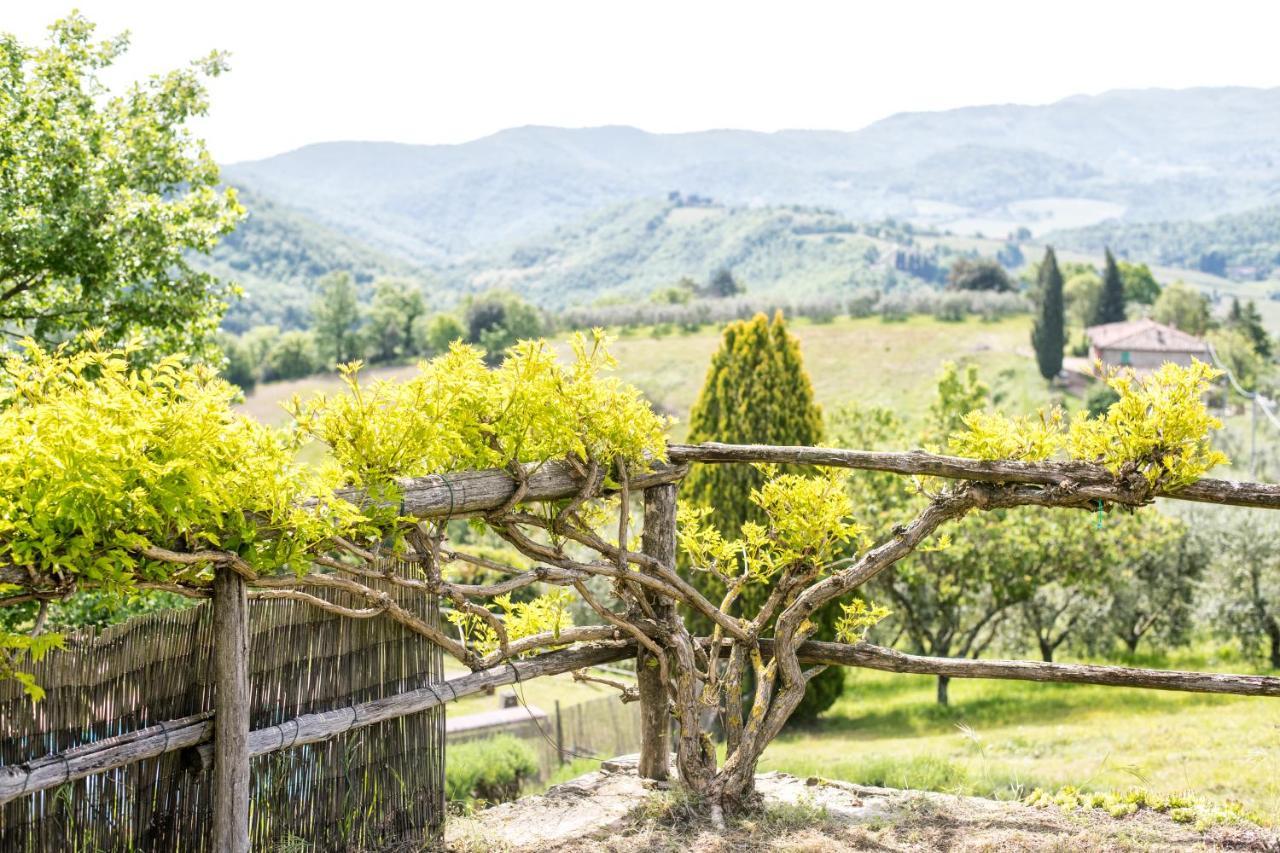 Agriturismo La Sala Greve in Chianti Buitenkant foto