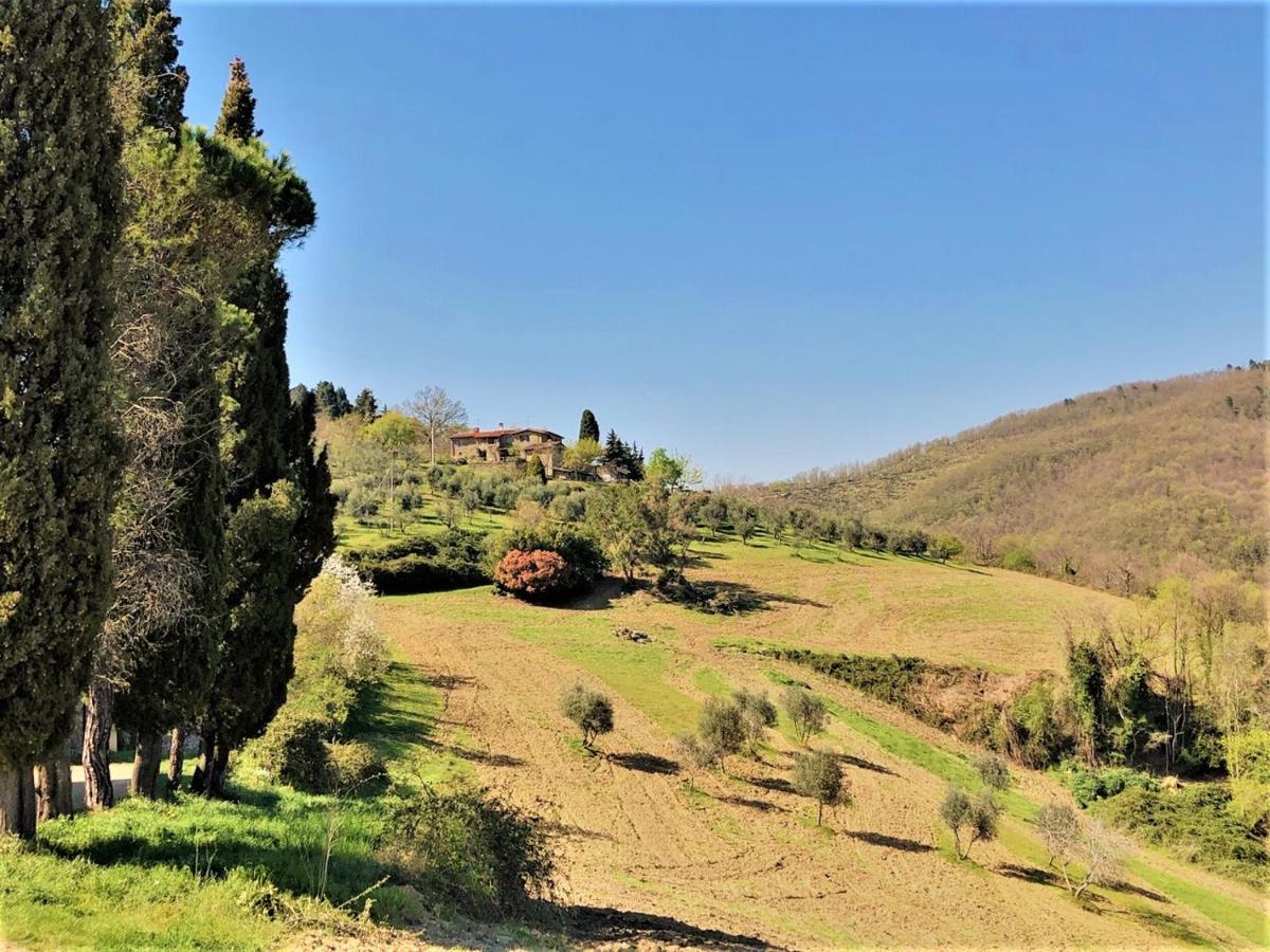 Agriturismo La Sala Greve in Chianti Buitenkant foto